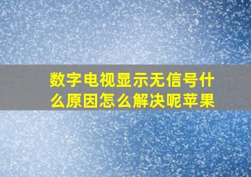 数字电视显示无信号什么原因怎么解决呢苹果