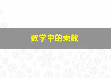 数学中的乘数