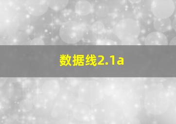 数据线2.1a