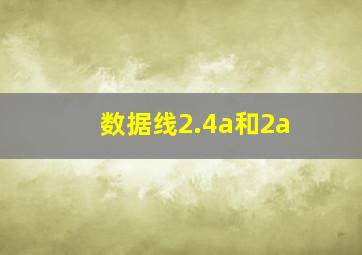 数据线2.4a和2a