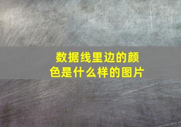 数据线里边的颜色是什么样的图片