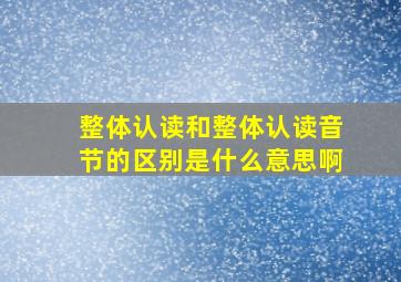 整体认读和整体认读音节的区别是什么意思啊