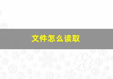 文件怎么读取