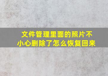 文件管理里面的照片不小心删除了怎么恢复回来