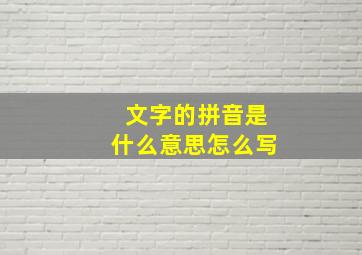 文字的拼音是什么意思怎么写