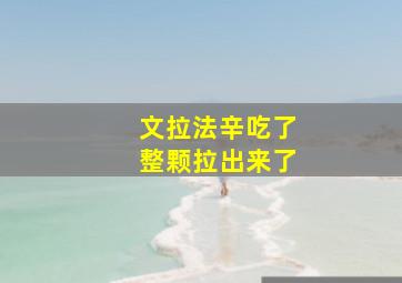 文拉法辛吃了整颗拉出来了