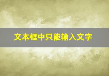 文本框中只能输入文字