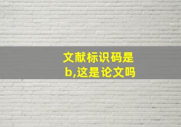 文献标识码是b,这是论文吗