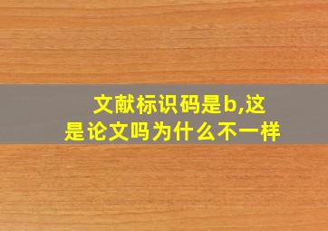 文献标识码是b,这是论文吗为什么不一样