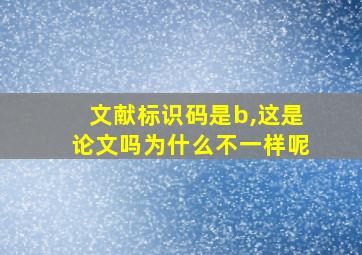 文献标识码是b,这是论文吗为什么不一样呢