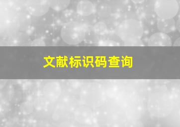 文献标识码查询