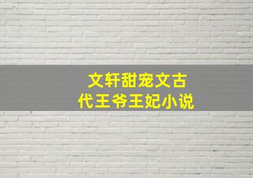 文轩甜宠文古代王爷王妃小说