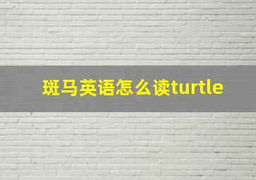 斑马英语怎么读turtle