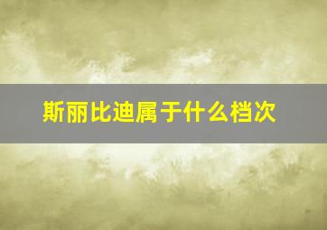 斯丽比迪属于什么档次