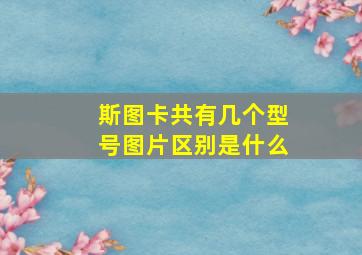 斯图卡共有几个型号图片区别是什么