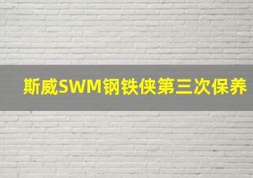 斯威SWM钢铁侠第三次保养