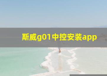 斯威g01中控安装app