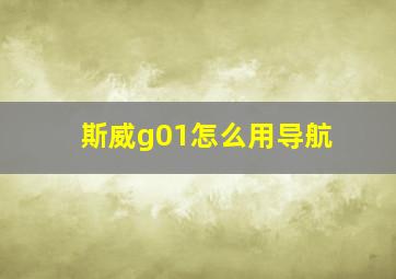 斯威g01怎么用导航