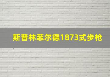 斯普林菲尔德1873式步枪