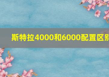 斯特拉4000和6000配置区别