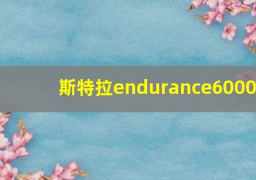 斯特拉endurance6000