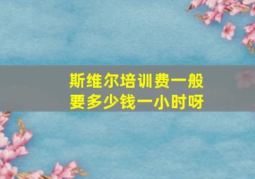 斯维尔培训费一般要多少钱一小时呀