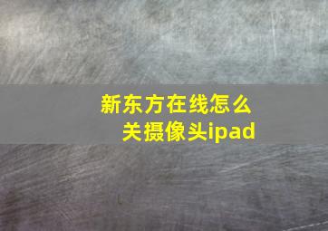 新东方在线怎么关摄像头ipad