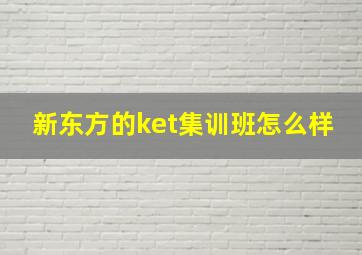 新东方的ket集训班怎么样