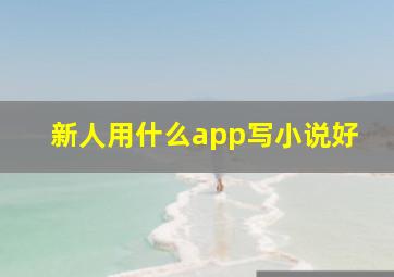 新人用什么app写小说好