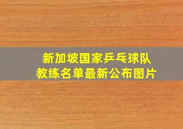 新加坡国家乒乓球队教练名单最新公布图片