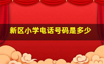 新区小学电话号码是多少