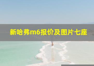 新哈弗m6报价及图片七座