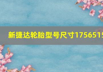 新捷达轮胎型号尺寸1756515