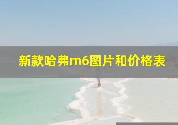 新款哈弗m6图片和价格表