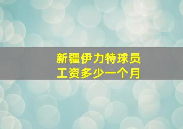 新疆伊力特球员工资多少一个月