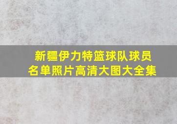 新疆伊力特篮球队球员名单照片高清大图大全集