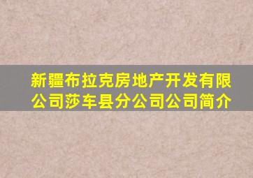 新疆布拉克房地产开发有限公司莎车县分公司公司简介