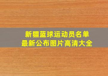 新疆蓝球运动员名单最新公布图片高清大全