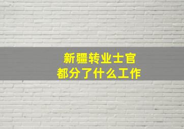 新疆转业士官都分了什么工作