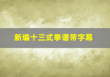 新编十三式拳谱带字幕