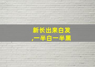 新长出来白发,一半白一半黑