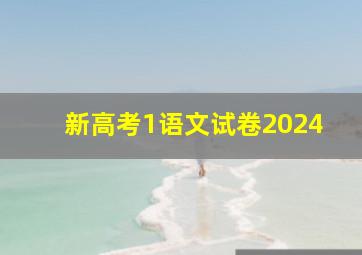 新高考1语文试卷2024