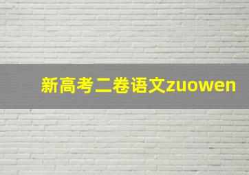 新高考二卷语文zuowen