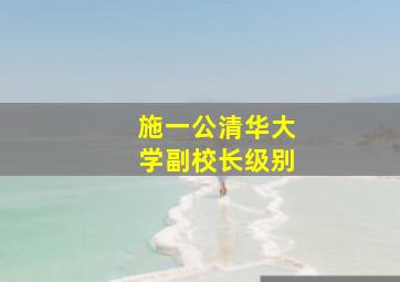 施一公清华大学副校长级别