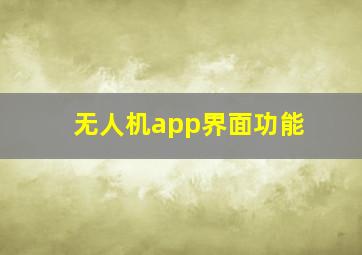 无人机app界面功能