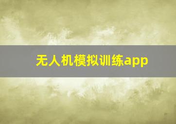 无人机模拟训练app