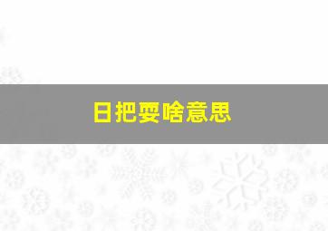 日把耍啥意思