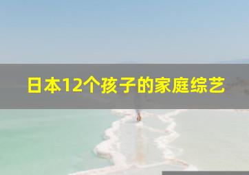 日本12个孩子的家庭综艺