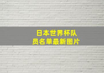 日本世界杯队员名单最新图片