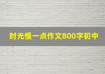 时光慢一点作文800字初中